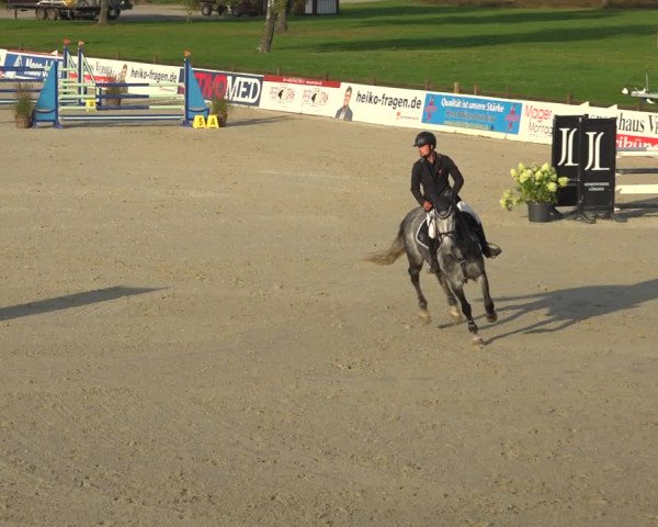 Reitturnier Westergellersen 2021