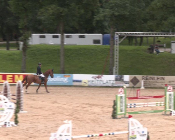 Reitturnier Stadl-Paura 2024