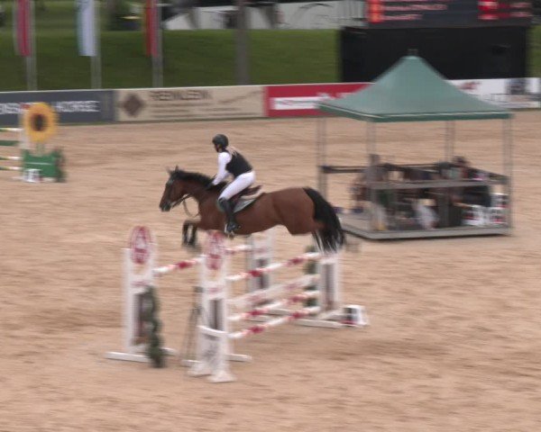Reitturnier Stadl-Paura 2024