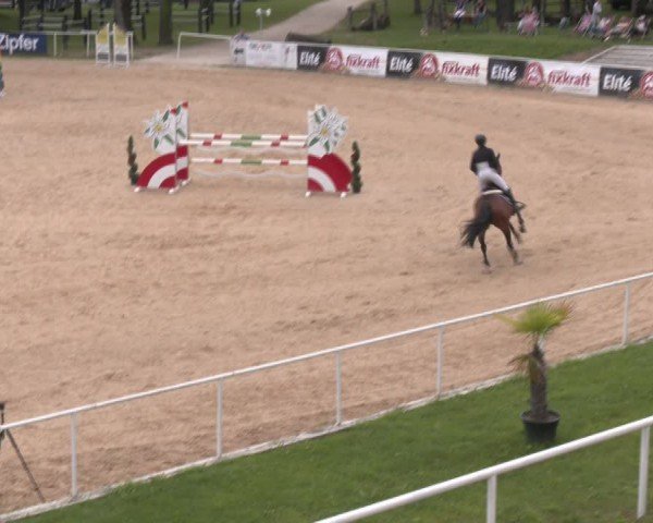 Reitturnier Stadl-Paura 2024