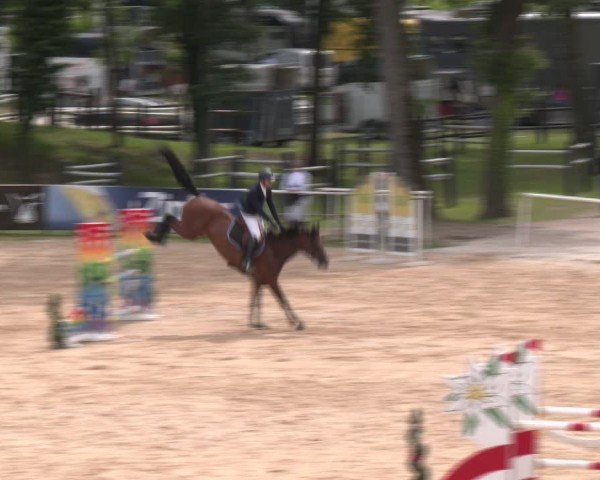 Reitturnier Stadl-Paura 2024