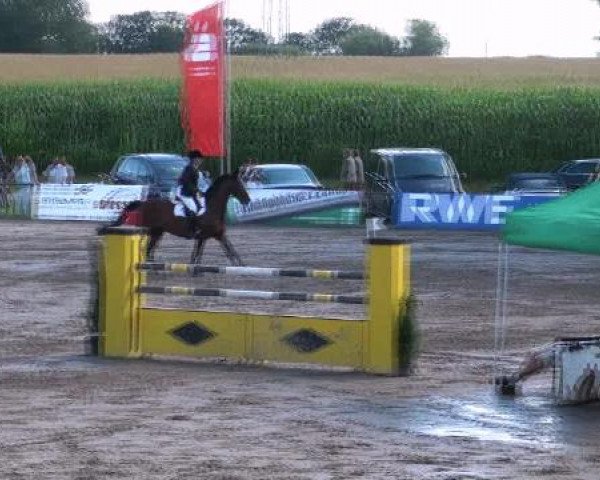 Reit- und Springturnier des LRFV Recklinghausen e.V. vom 23.-26.08.2012