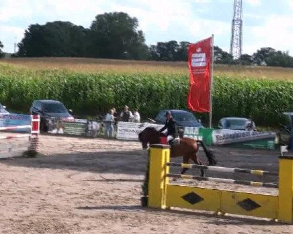 Reit- und Springturnier des LRFV Recklinghausen e.V. vom 23.-26.08.2012