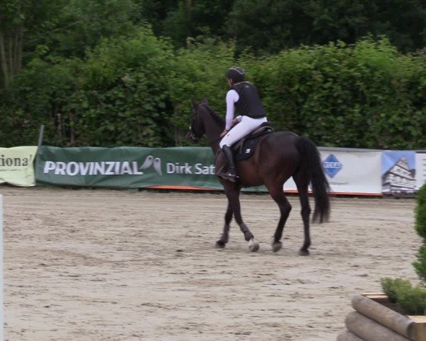 Reitturnier Fröndenberg 2024