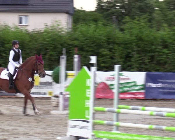 Reitturnier Fröndenberg 2024