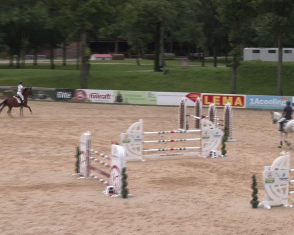 Reitturnier Stadl-Paura 2024