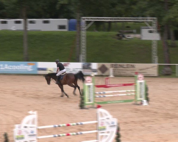 Reitturnier Stadl-Paura 2024