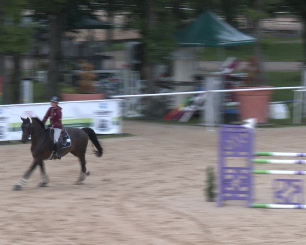 Reitturnier Stadl-Paura 2024