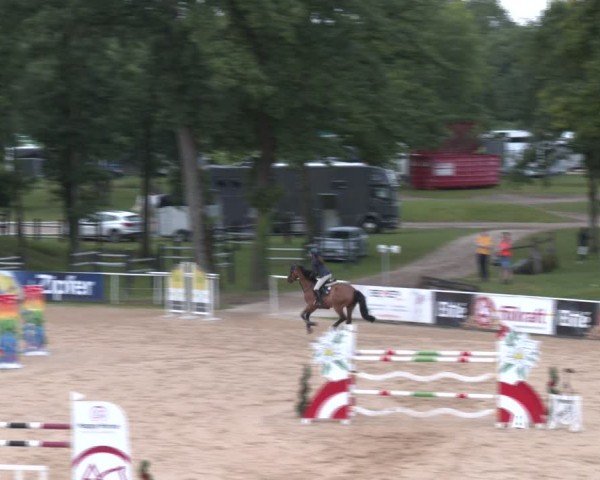 Reitturnier Stadl-Paura 2024
