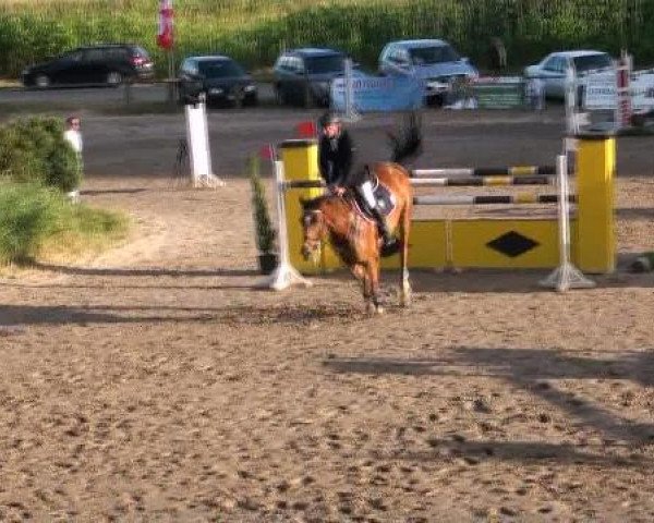 Reit- und Springturnier des LRFV Recklinghausen e.V. vom 23.-26.08.2012
