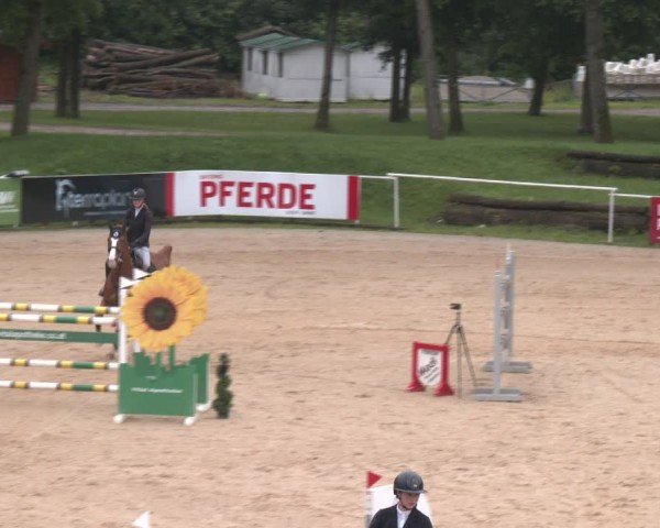 Reitturnier Stadl-Paura 2024