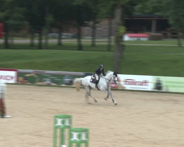 Reitturnier Stadl-Paura 2024