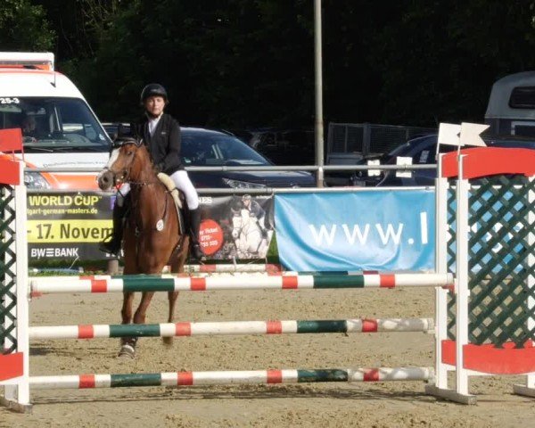Reitturnier Winnenden 2024