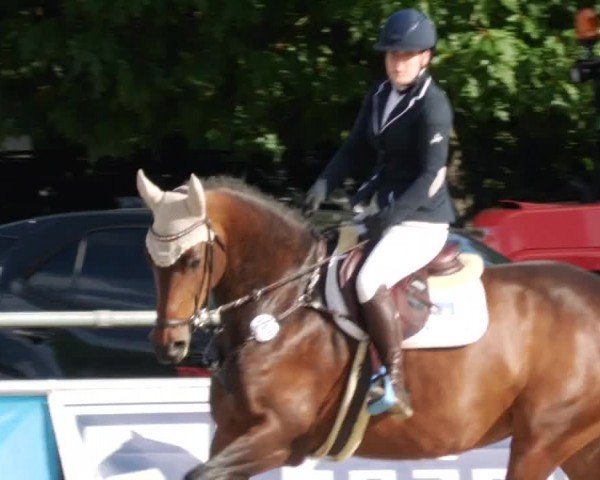 Reitturnier Winnenden 2024
