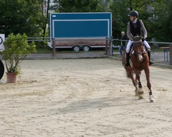 Reitturnier Winnenden 2024