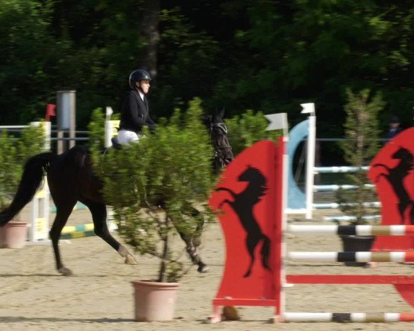 Reitturnier Winnenden 2024