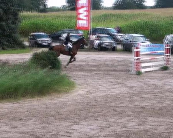 Reit- und Springturnier des LRFV Recklinghausen e.V. vom 23.-26.08.2012