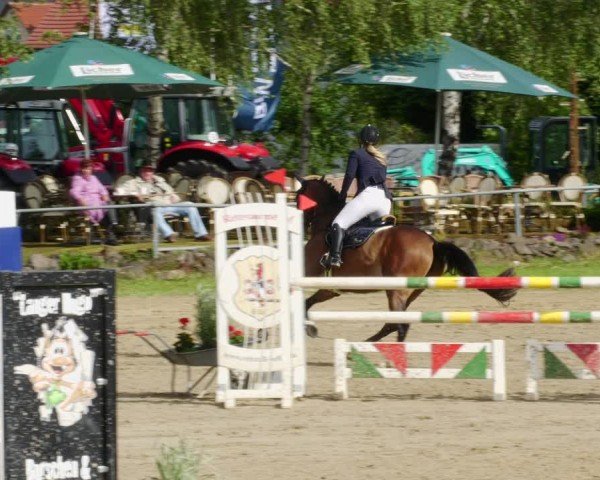Reitturnier Mücke-Atzenhain 2024