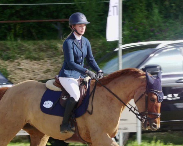 Reitturnier Mücke-Atzenhain 2024