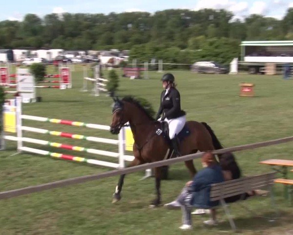 Reitturnier Bad Windsheim/Mfr. 2024