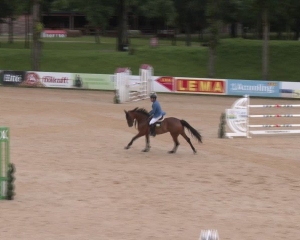 Reitturnier Stadl-Paura 2024