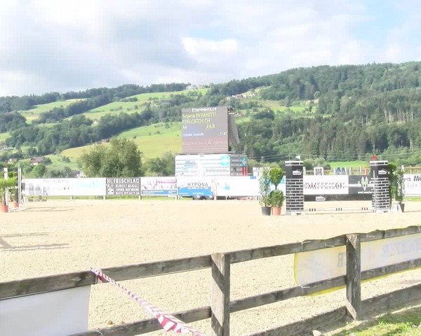Reitturnier Hitzkirch 2024