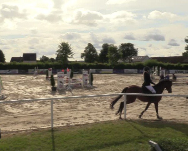 Reitturnier Fröndenberg 2024