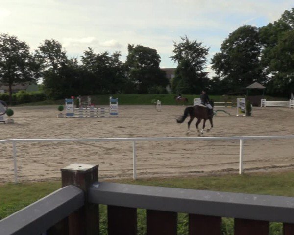 Reitturnier Fröndenberg 2024