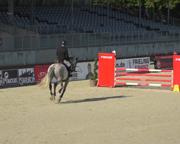 Reitturnier Westergellersen 2021