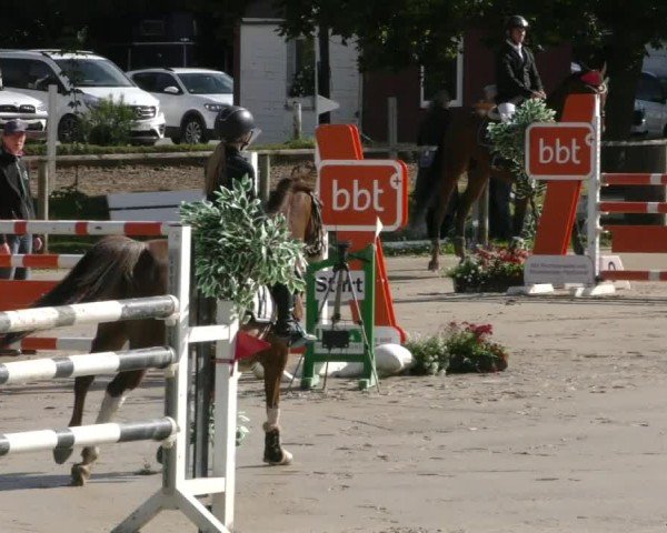 Reitturnier Springe 2024