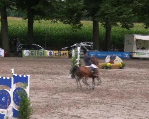 Reit- und Springturnier des LRFV Recklinghausen e.V. vom 23.-26.08.2012