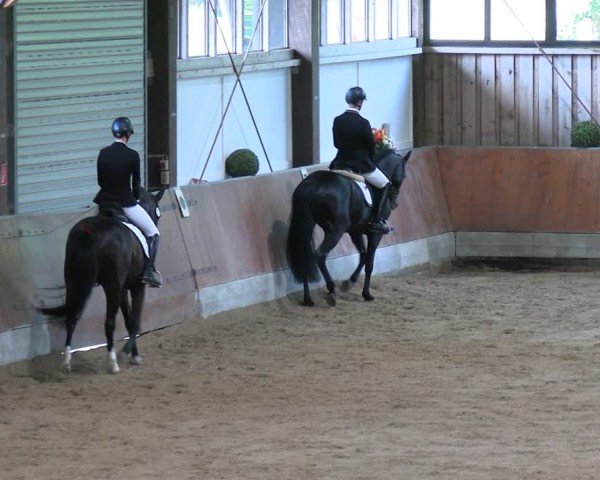Reitturnier Fröndenberg 2024