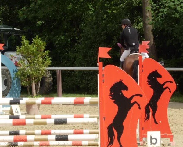 Reitturnier Winnenden 2024