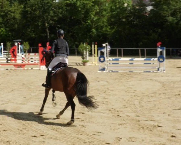 Reitturnier Winnenden 2024
