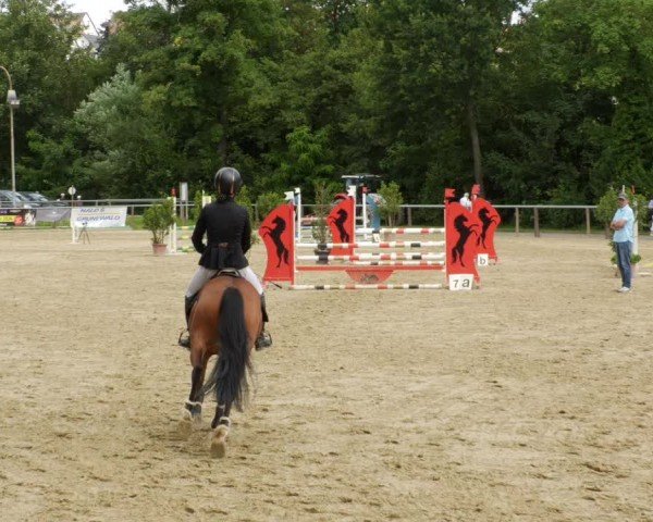 Reitturnier Winnenden 2024