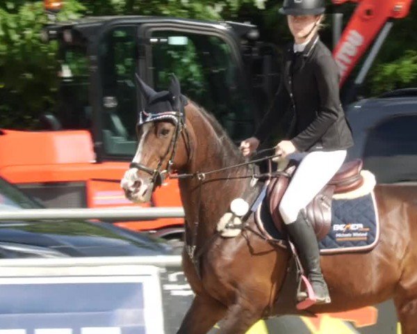 Reitturnier Winnenden 2024