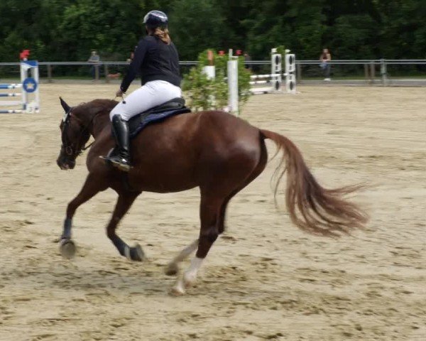 Reitturnier Winnenden 2024