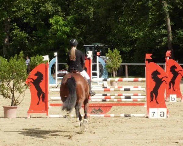 Reitturnier Winnenden 2024