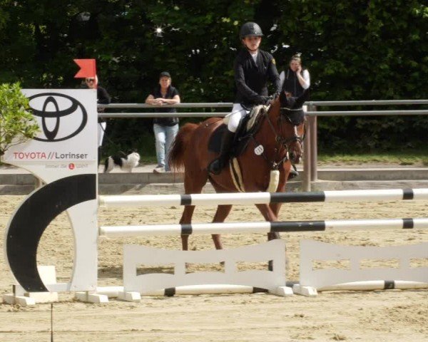 Reitturnier Winnenden 2024