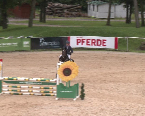 Reitturnier Stadl-Paura 2024