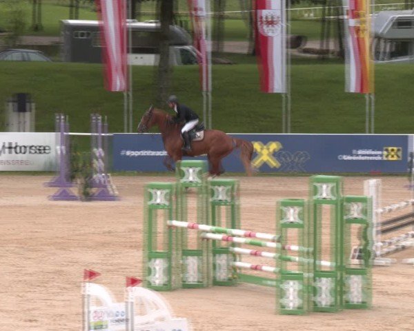 Reitturnier Stadl-Paura 2024
