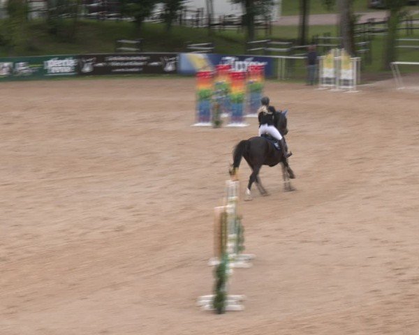 Reitturnier Stadl-Paura 2024
