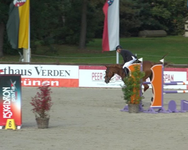 Reitturnier Westergellersen 2021