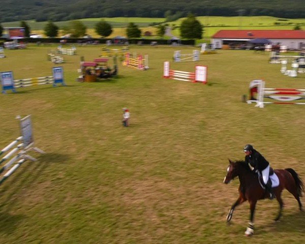 Reitturnier Wingerode 2024