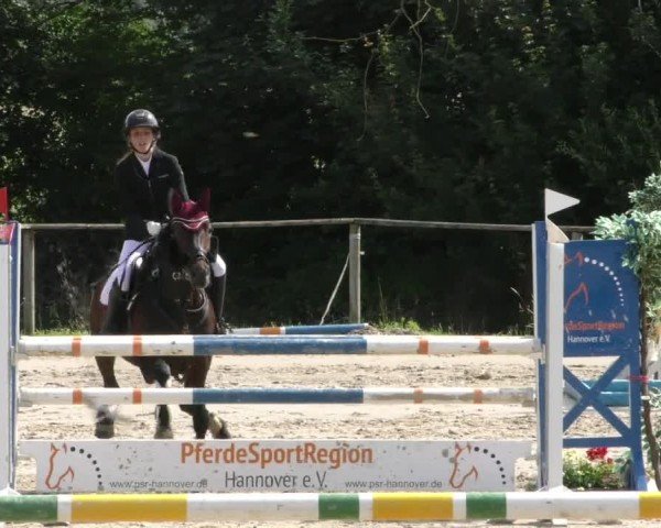 Reitturnier Springe 2024