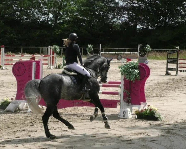Reitturnier Springe 2024