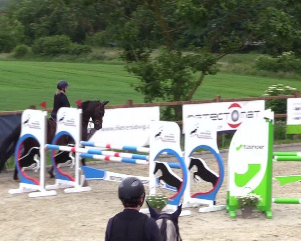 Reitturnier Sörup 2024