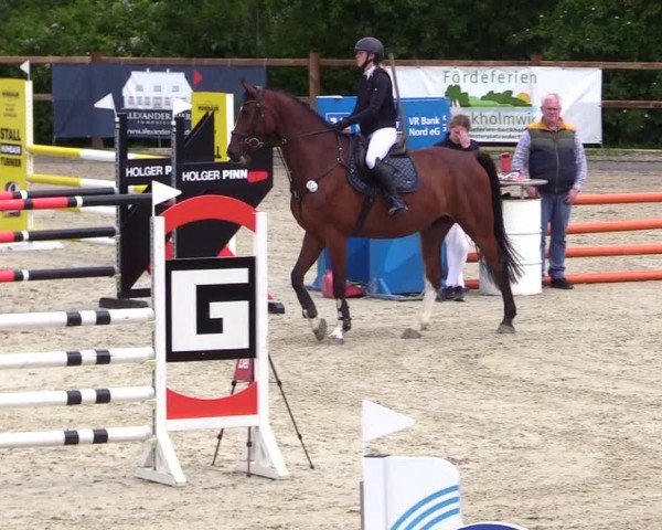 Reitturnier Sörup 2024