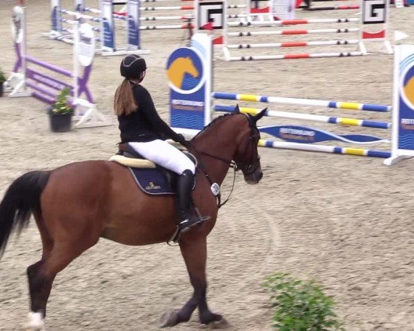 Reitturnier Sörup 2024