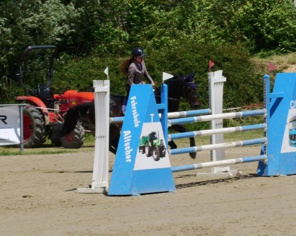 Reitturnier Mücke-Atzenhain 2024